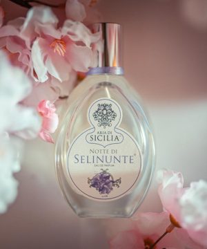 No.8 Notte di Selinunte